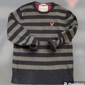 American Eagle 🦅, Navy and Gray Sweater, Men’s Size L